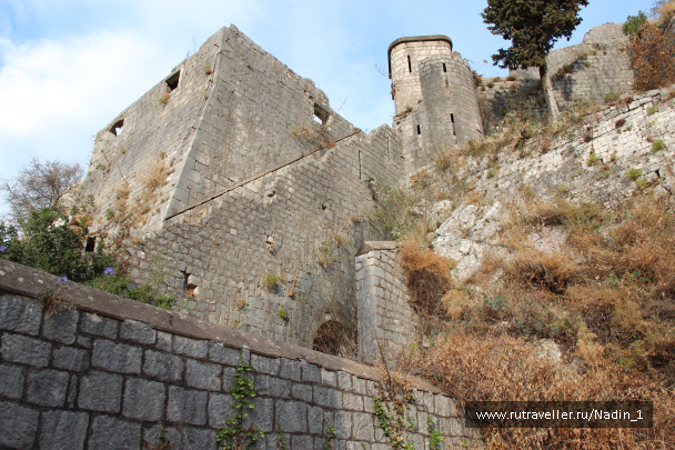 photo 1552767