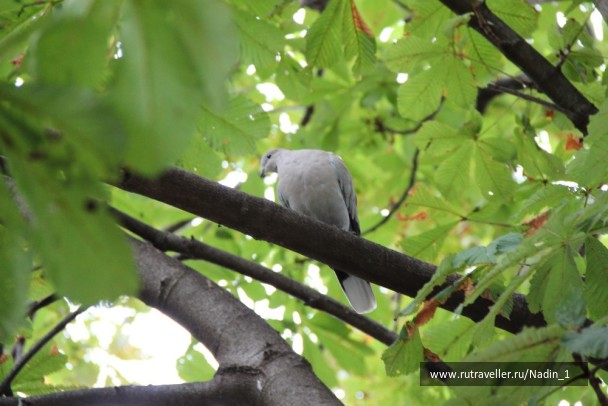 photo 1552769