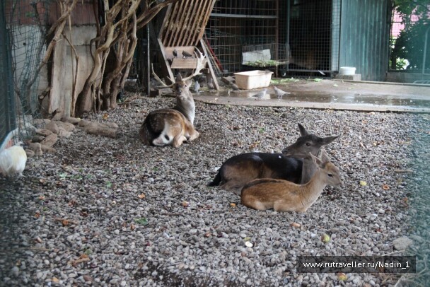 photo 1552770