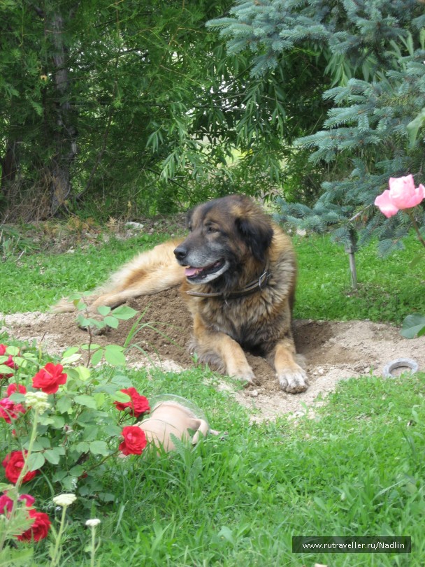 photo 103567