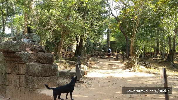 photo 1232552