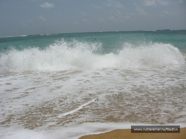 photo 1672467