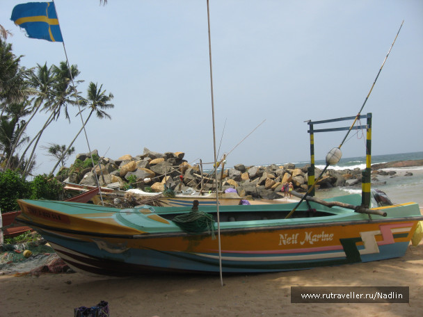photo 1672484