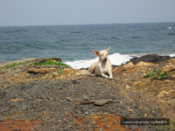 photo 1672487