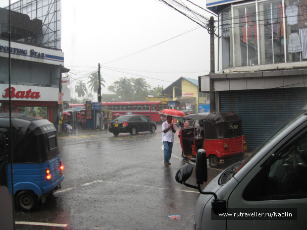 photo 1672491