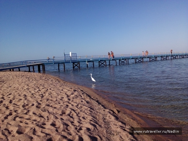 photo 1674243