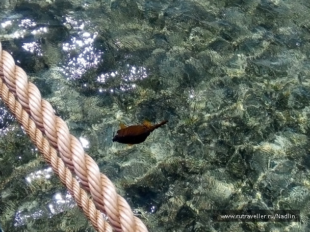 photo 1674250