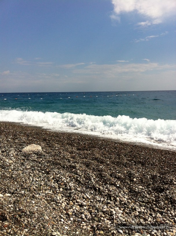 photo 901330