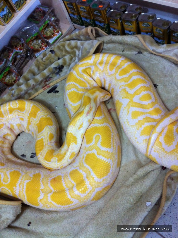 photo 901351