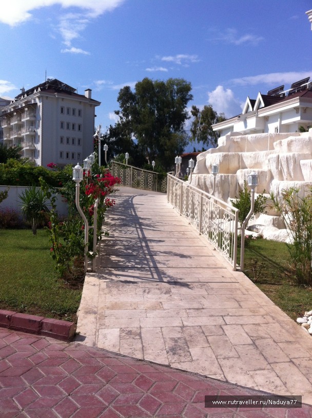 photo 901513