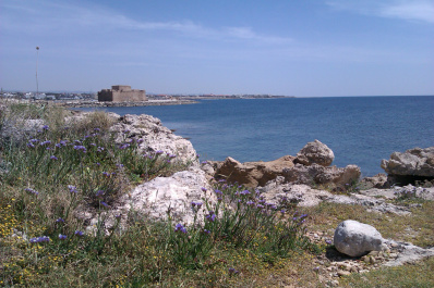 photo 77166
