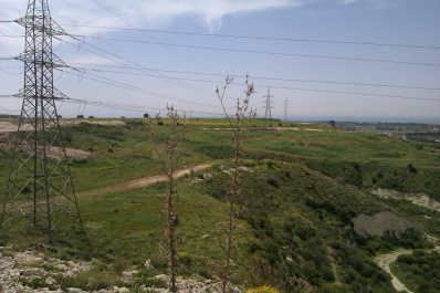 photo 77320