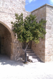 photo 77331