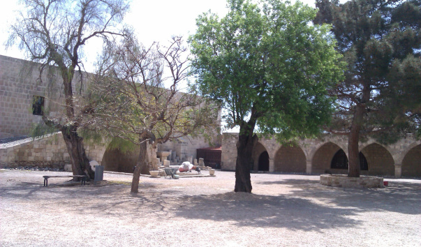 IMAG0126