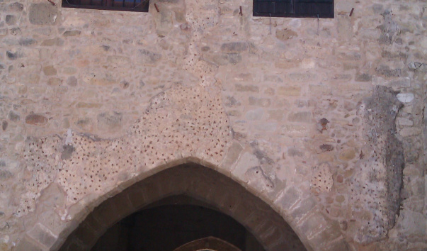 IMAG0124