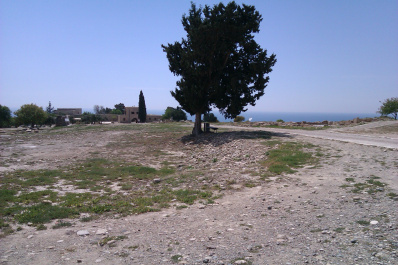 photo 77341