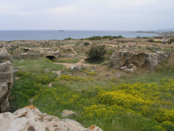 photo 77346