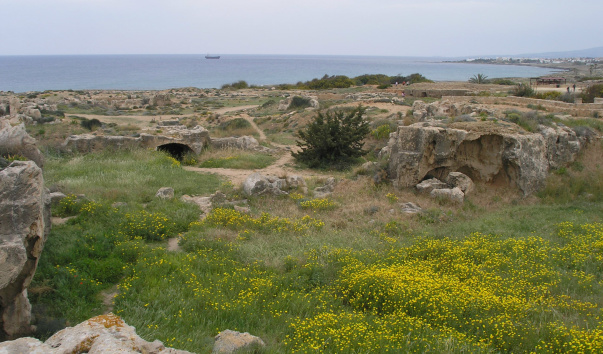 P4010143