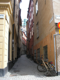 photo 87983