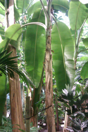 photo 204076