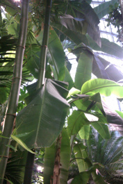 photo 204079