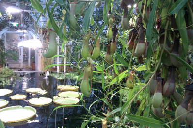 photo 204091