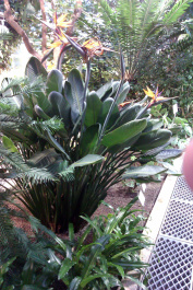 photo 204098