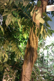 photo 204103