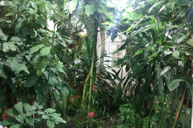 photo 204109