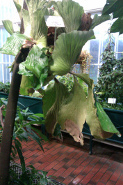 photo 204110