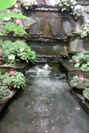 photo 204112
