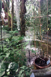 photo 204115