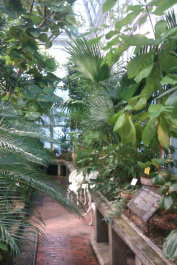 photo 204116