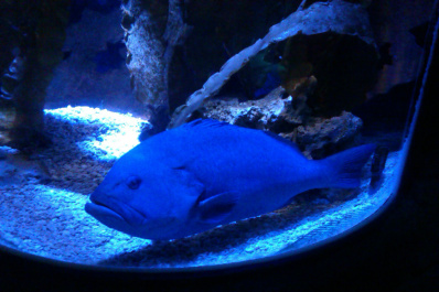 photo 204142