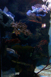 photo 204143