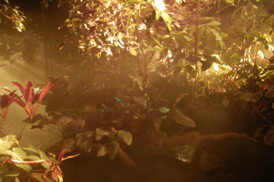 photo 225970