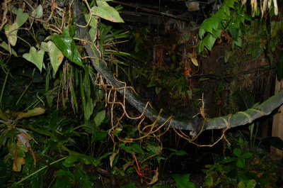 photo 225971
