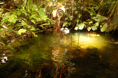 photo 225978