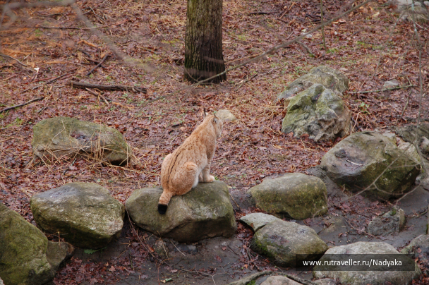 photo 641864
