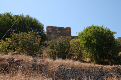 photo 527786