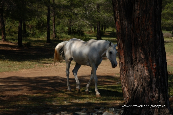 photo 737913