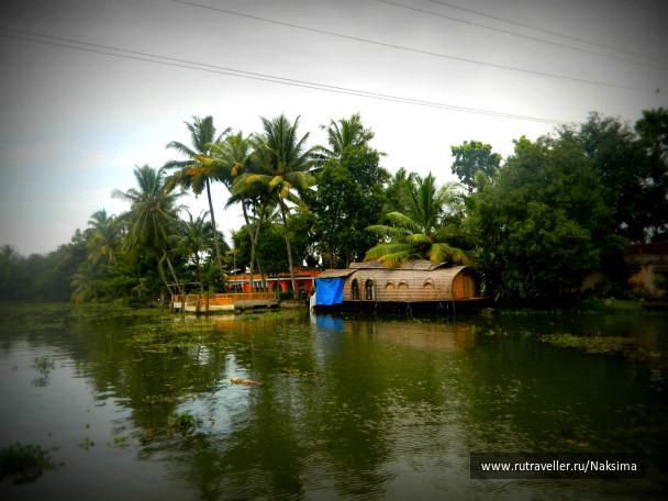 photo 244396