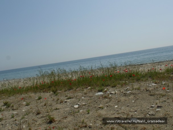 photo 839266