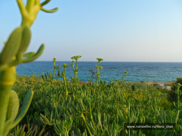 photo 424522