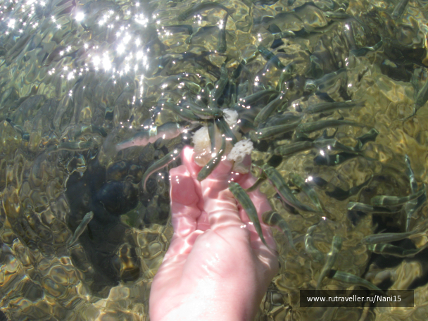photo 704720