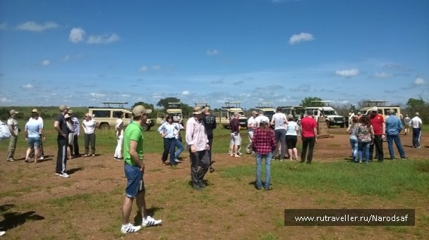 photo 1041868