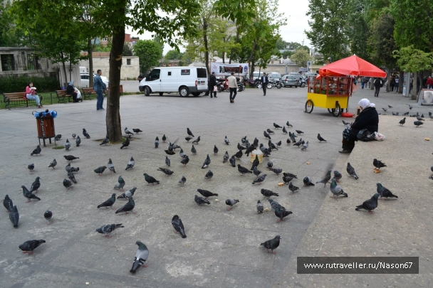 photo 743340