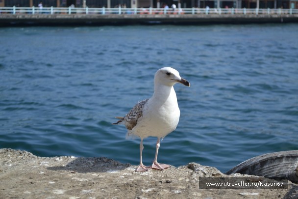 photo 743352