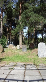 photo 1494888