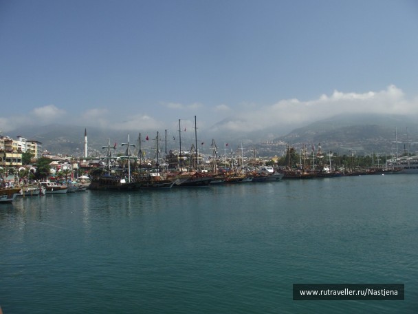 photo 296686